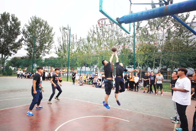 “萌新”集结 在竞技中挥斥方遒