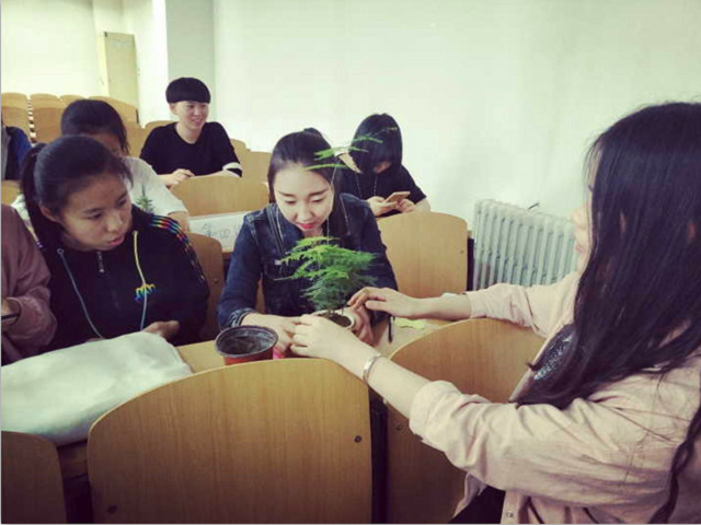【骨干四班】愿初遇的那一株花香 能芬芳你所有的流年——骨干四班开展“绿植寄语”班级活动