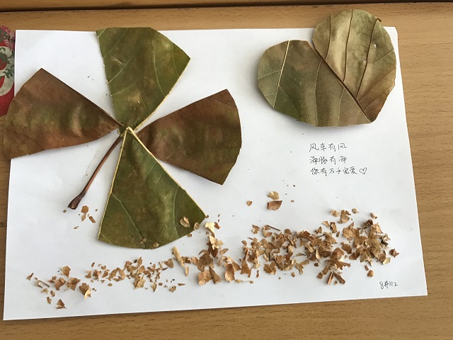 【完满班级】以爱为马 实践公益之心——淬炼商学院“善行青春”主题活动（三十四）