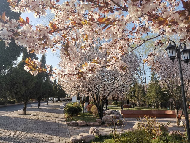 【完满班级】热爱生活 记录美好——食品与环境学院土管1901班完满班级活动