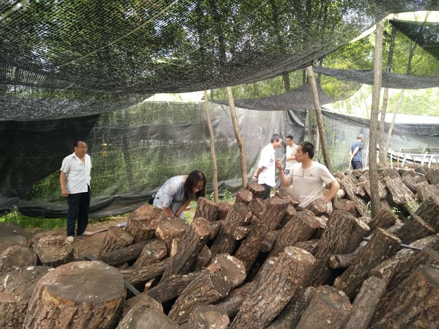 【暑期社会实践】筑梦青春 惠农助农 ——大数据学院、信息工程学院“决战决胜·乡村行”系列活动二