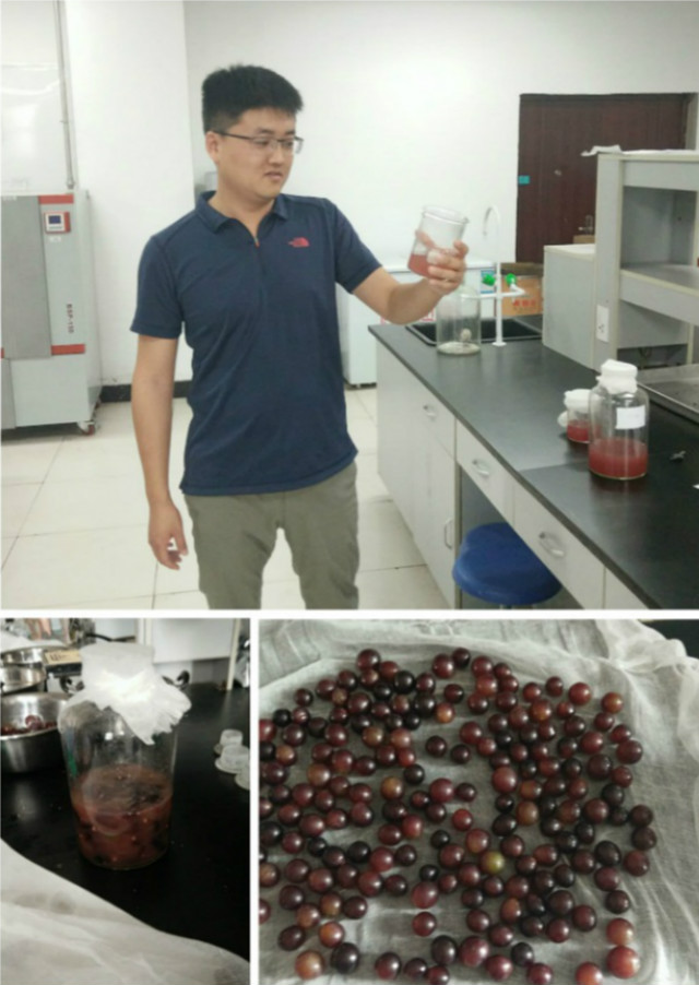 环科系首届“蒸馏吧 水果们”食品酿酒节