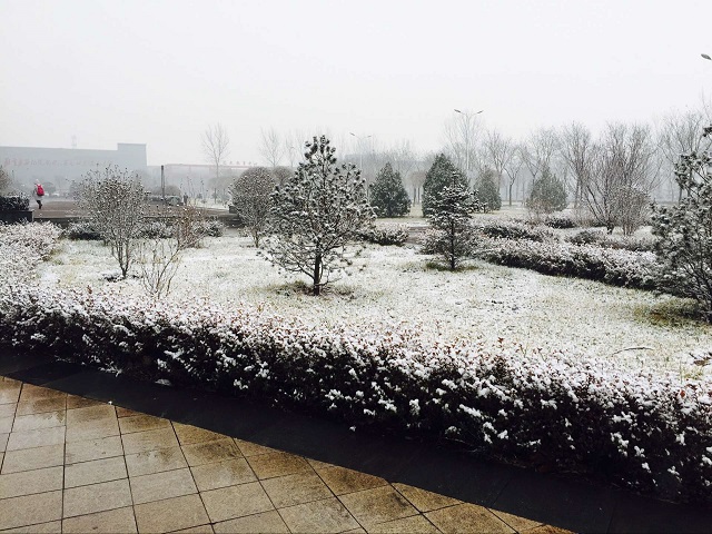 【前行】第79期:唯美信院 雪里已知春信至