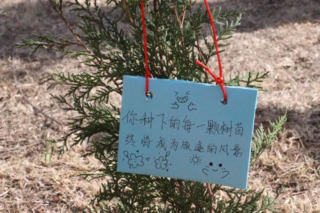 植树增绿 党旗增辉——远景学院植树节主题活动