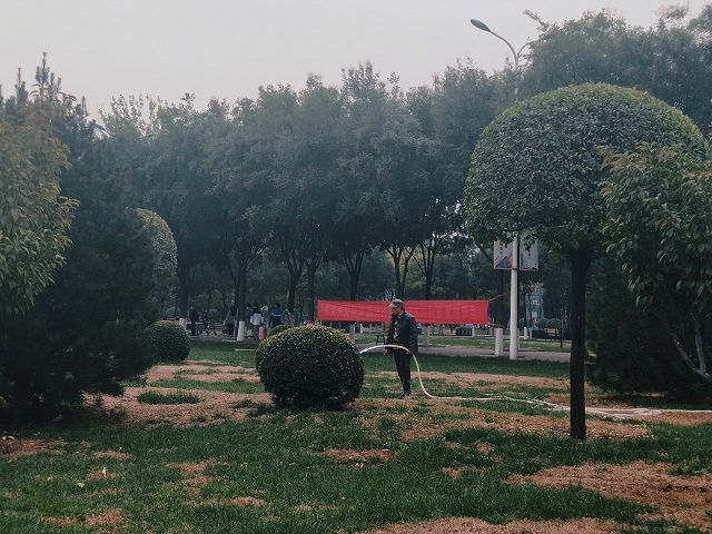 【完满班级】镜头汇聚精彩 守护绿色校园——食品与环境学院动医1801班完满班级活动