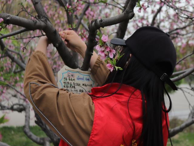 与树相约 追逐春日浪漫——经济与管理学院“树朋友 你好呀”文明实践在行动挂树牌活动