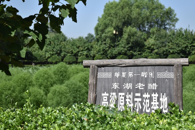 【三下乡】科技之舟扬帆起 创新智慧铸辉煌