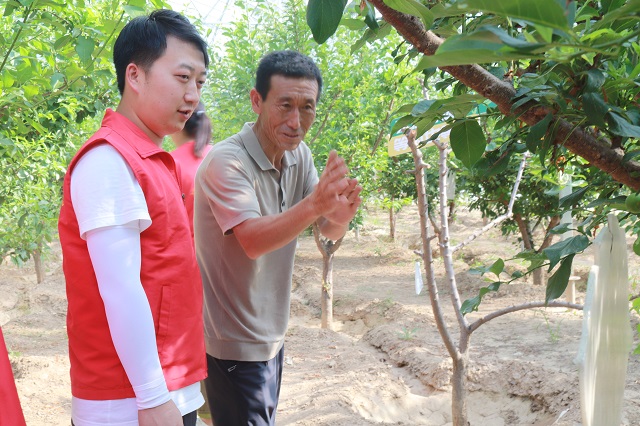 【三下乡】进田间地头·种植员张春明与“新”农来堡的十年相依——经济与管理学院“经”缘晋乡实践团助农篇
