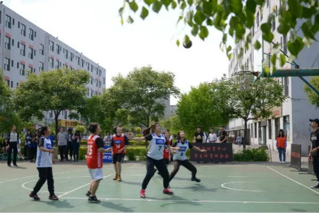 闪光的信院第240期:篮球场下 聆听她们的热爱与坚守