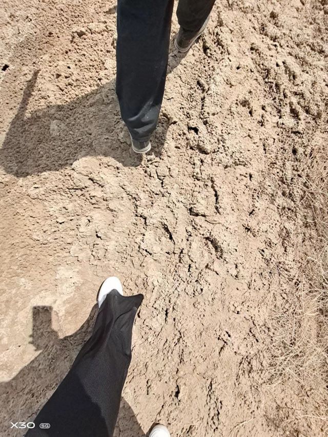 西部之声第34期:我们的征途是星辰大海