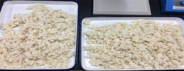 一杯黄酒 往事随风——酒玖难忘酿酒协会举办大米黄酒的前期发酵活动