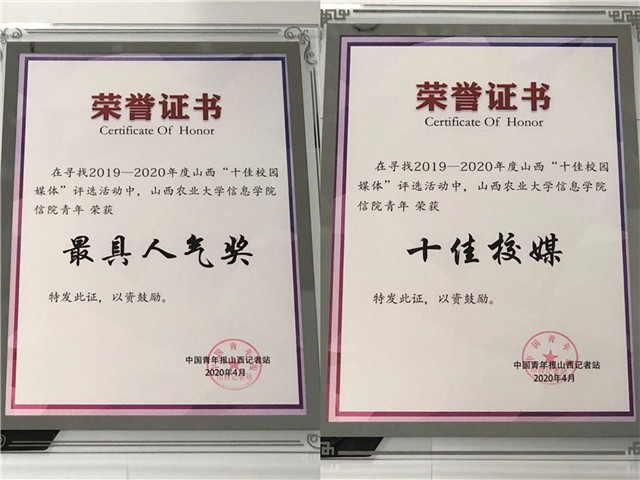 工作标兵•张梦琦:所有的热爱和坚持都会发光