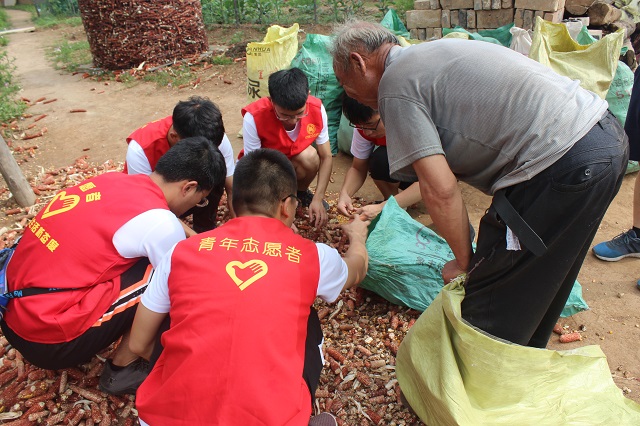 【三下乡】七月六谷香 农家齐欢畅——远景学院“改革开放四十周年调研实践团”三下乡之行