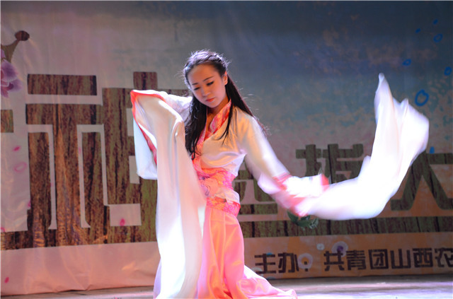 巅峰之夜：第二届“信院女神”选拔大赛唯美落幕