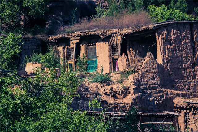 【三下乡】志愿者风采：我们被老人们当成了“插队知青”