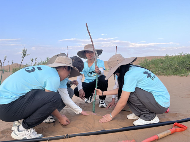 【三下乡】笃行致远 宁夏归来当成长当满载——白燕书院同心燃梦乡村振兴促进团“三下乡”活动