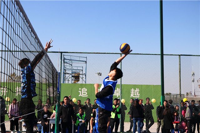 【信院力量·体联】学生体育联合会十月活动回顾