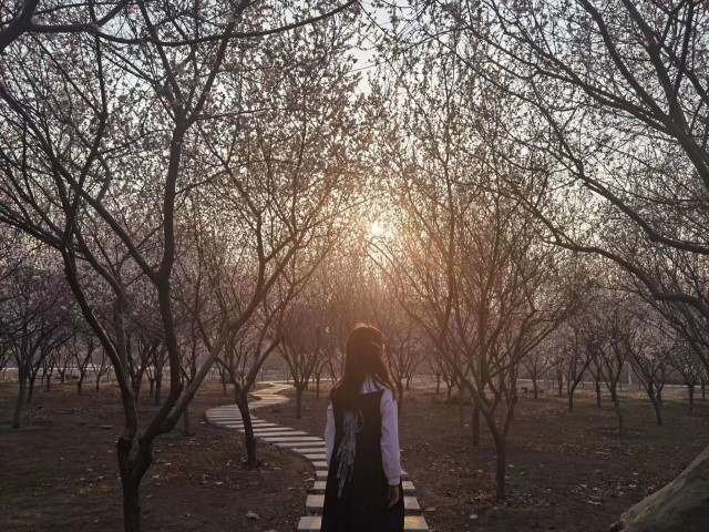 【完满班级】寻找春天的脚步 摄出最美春色