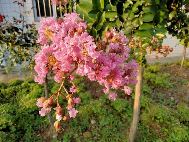 【完满班级】采集青色时光 定格美好瞬间——食品与环境学院动医1902班完满班级活动