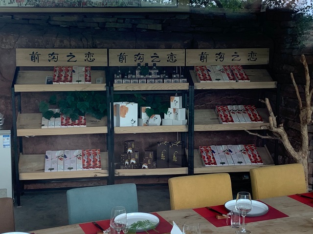 【三下乡】前沟之恋情难忘，乡村旅游明方向