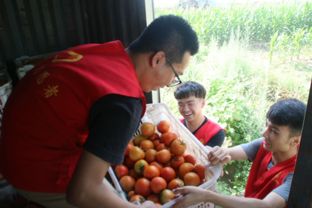 【三下乡】信院学子在基层：2017暑期“三下乡”社会实践活动圆满结束