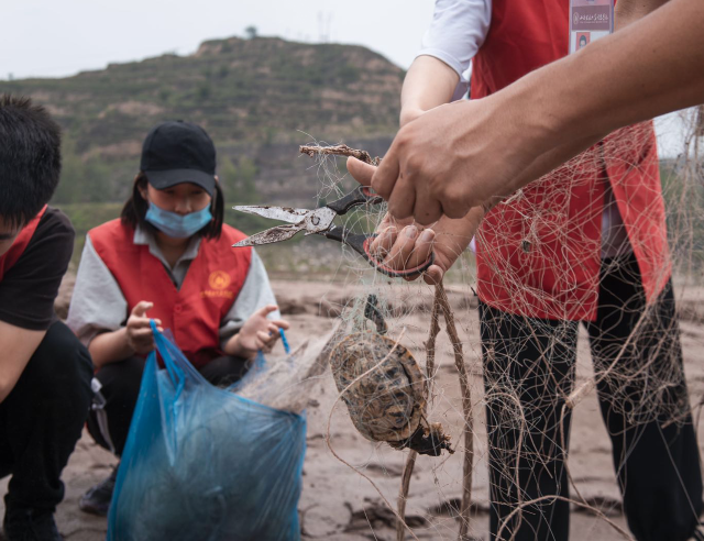“青春兴晋”信院青年为青春一起乘风破浪