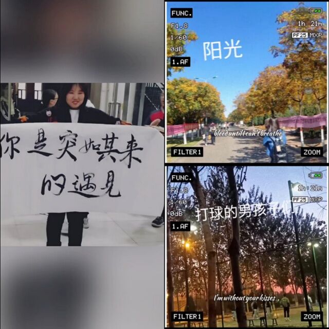 迢迢奔赴 岁月情书——经济与管理学院第一届“初见你 怦然心动”之“展现青春•告白我的大学”征集活动