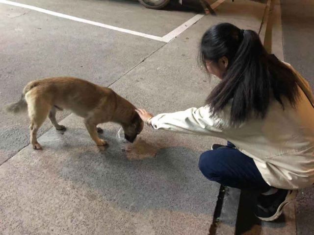 【完满班级】公益同行 为爱欢呼