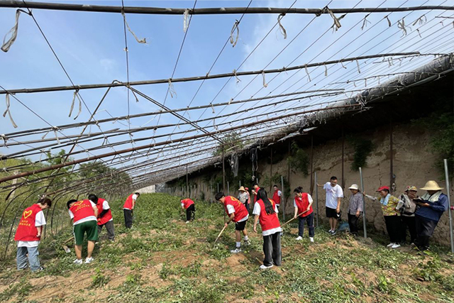 【三下乡】传承红色文化 延续农耕火种——大数据学院、信息工程学院乡村振兴实践团