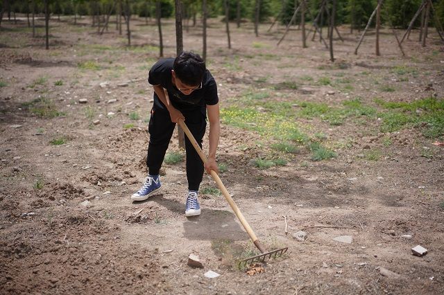 【社团快讯】除草换新守净土 绿动农业育人才——食品与环境学院绿时代助学兴农育人工程之“开心农场”农业体验园