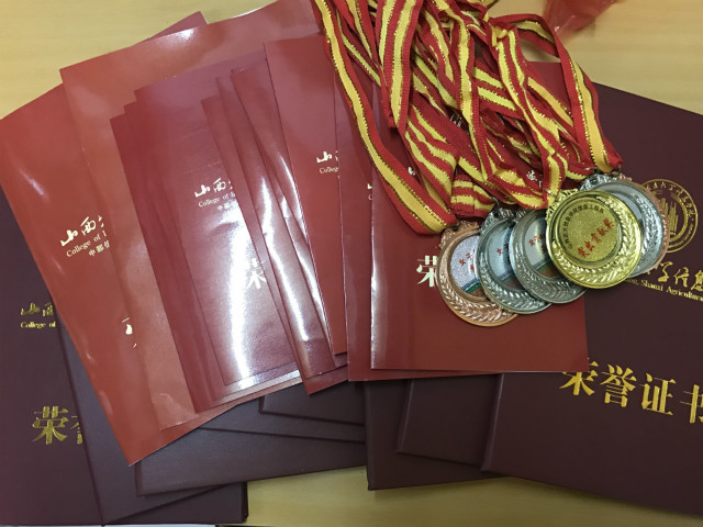 【体育之星·段瑞静】欲带皇冠 必承其重