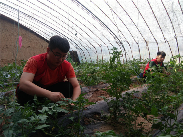 【三下乡】调研大棚  象谷的风景线——机电工程系“机时予”象谷村志愿服务纪实（二）