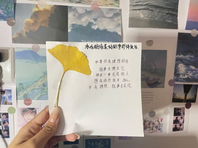学长计划第1027期:“影”动心灵 影响人生——智能工程学院第142期学长计划之“心随影动 净化心灵”