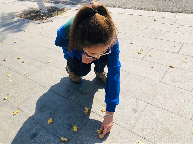 【完满班级】捡拾落叶 洁净校园——食品与环境学院生技1601班完满班级活动