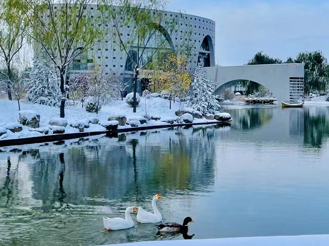 【前行】以初雪之名,赏深秋之景