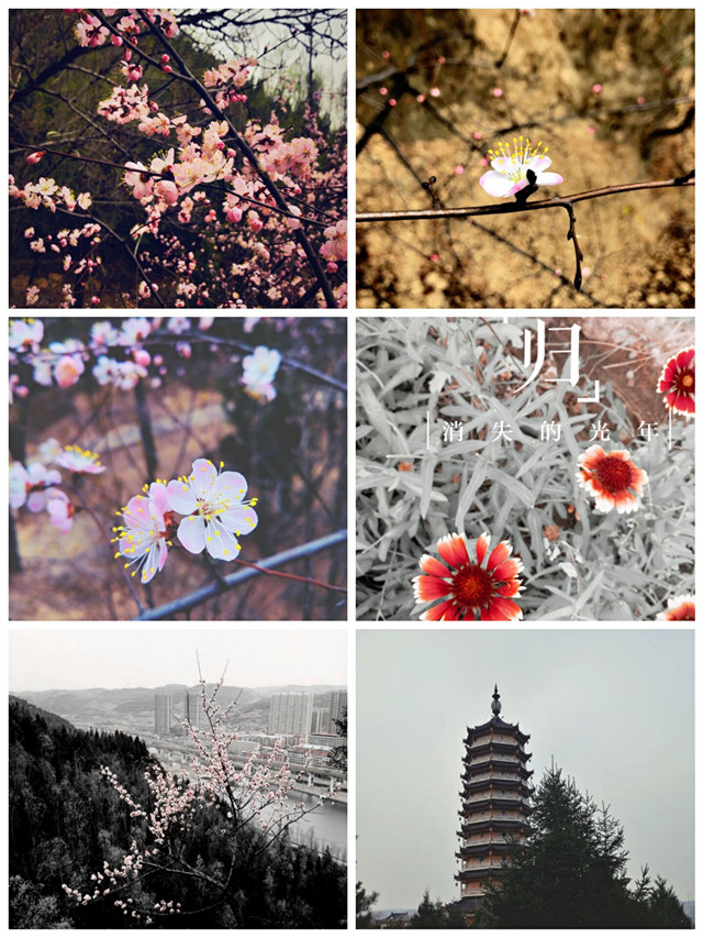 【缤纷百团】第八届“信院杯”摄影大赛：掠美身边 美在瞬间