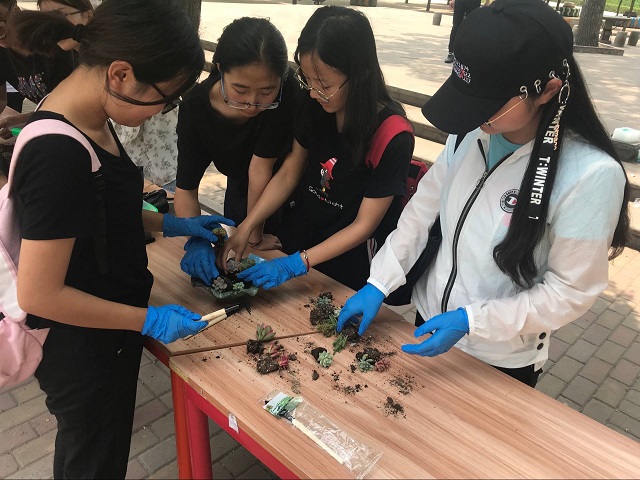 【缤纷百团】心系一抹绿色 静坐赏琴品尝