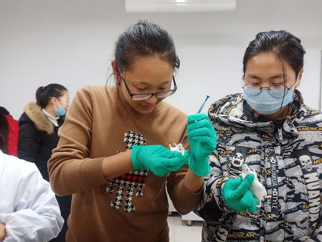 【社团快讯】思辨小课堂“小白鼠系列实验”——倾心动物科学社活动