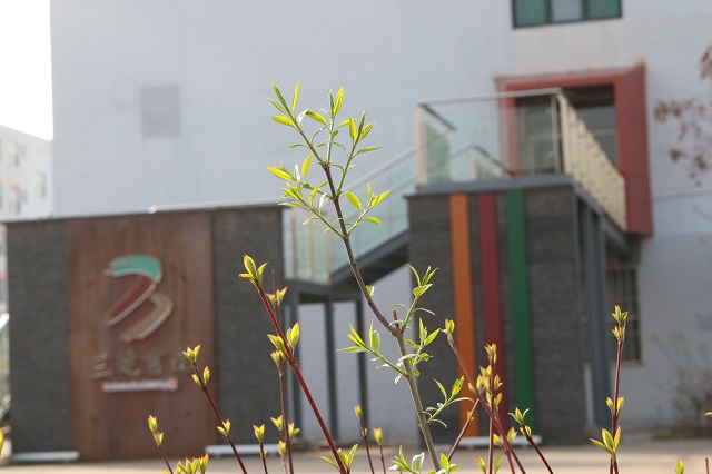 前行第176期：春暖花开 与你共赏书院美景