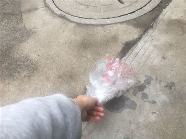 建党百年 爱护环境——服装1701班完满班级活动