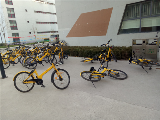 【完满班级】怀揣善良 爱暖寒冬——淬炼商学院“善”行青春主题活动(四十四)