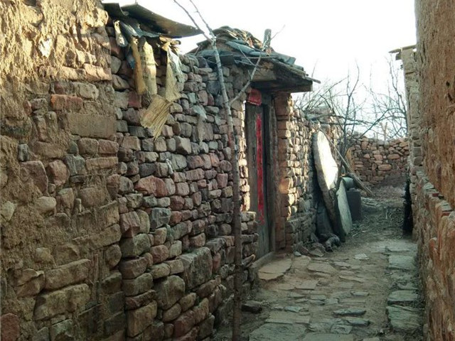 【暑期社会实践】淬炼学子走进乡村 用镜头捕捉美好