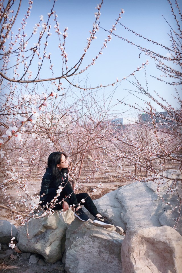 【前行】第109期:“白浅”上仙醉卧信院“十里桃林”