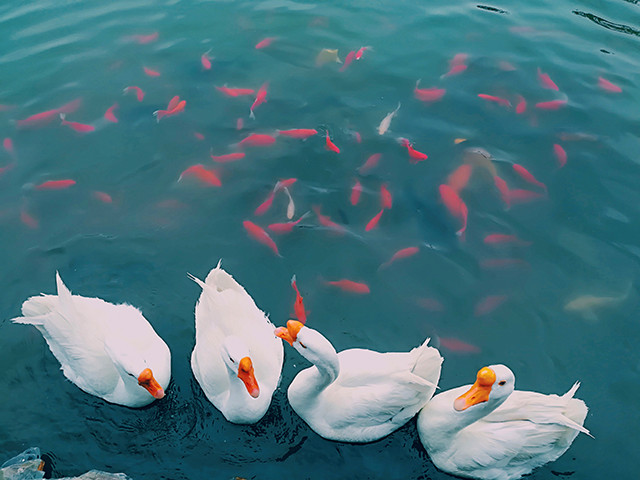 【完满班级】亲近大学校园 感受摄影艺术——机制1604班举办完满班级活动