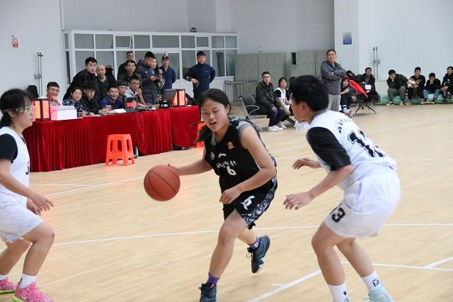 【信院力量·体联】学生体育联合会11月特色亮点活动回顾