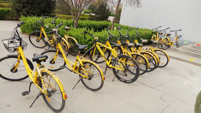 【完满班级】齐心协力 共创美好校园——外国语言文学系经贸1801班、涉外1801班、英语1807班4月完满班级活动