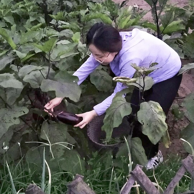 【暑期社会实践】淬炼学子坚守岗位 诠释劳动之美