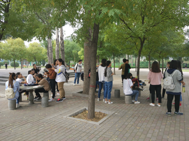 【完满班级】婉转之间 美丽成型——经济管理系物流1601班“丝丝缕缕,乐动人心”完满班级活动