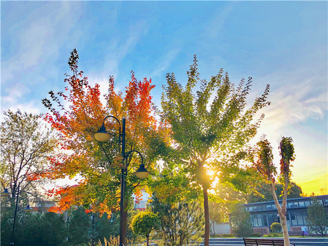 前行第175期:信院美好与你环环相扣