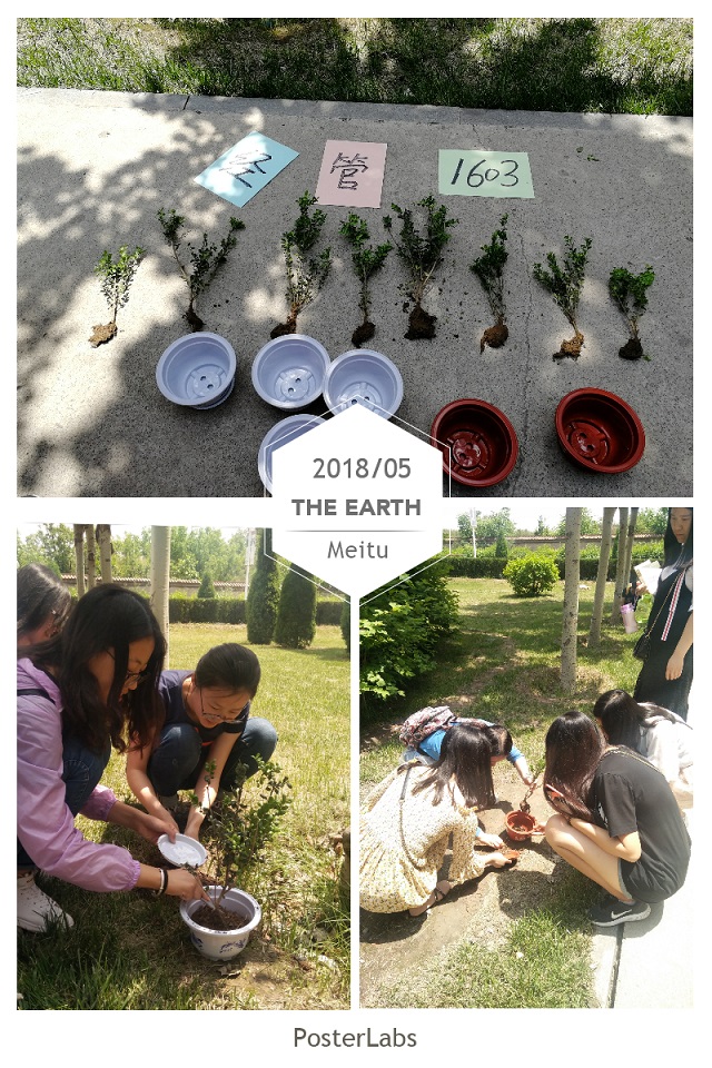 【完满班级】经管1603班以绿色之名公益植树 彰显青春完满活力——经管1603班公益植树五月完满班级活动